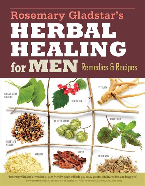 Rosemary Gladstar's Herbal Healing for Men: Remedies and Recipes for Circulation Support, 2nd ...