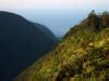 Hiking the Waipio Valley, Big Island | Let's Go Hawaii