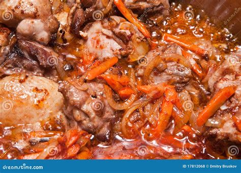 Duck stew stock photo. Image of fresh, cuisine, dinner - 17812068