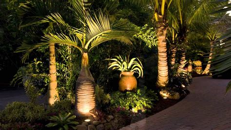 Landscaping Sarasota Florida with Tropical Palm Trees - YouTube