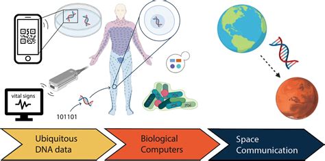 Top 7 Applications of Synthetic DNA in Information Technology - CBIRT