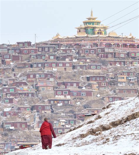 Little boxes on the hillside... home to 40,000 Buddhist monks: The stunning makeshift town that ...