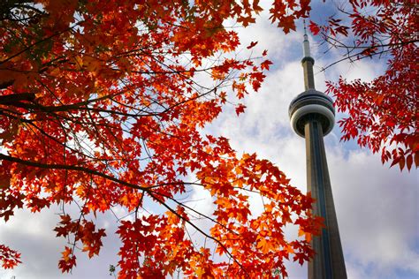 Things to do in Fall in and around Toronto!