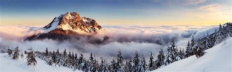 landscape, Mountain, Mist, Pine Trees, Winter, Slovakia, Multiple ...