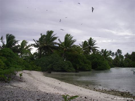 Palmyra Atoll | Birdsmith Ecological ResearchBirdsmith Ecological Research