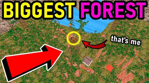 The BIGGEST FOREST MAP in Gorilla Tag VR | Giant Forest Map by NachoEngine - YouTube