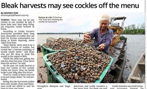 Shellfish farming the right way | The Star