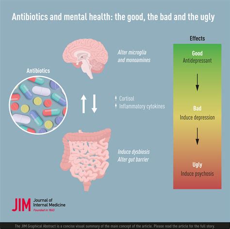 Mental Region Of The Body