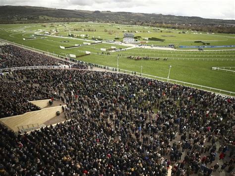 Cheltenham held within guidelines: Dowden | Betting Site