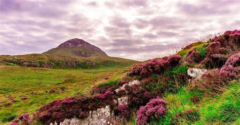 Connemara National Park self-guided day trip from Galway City | musement