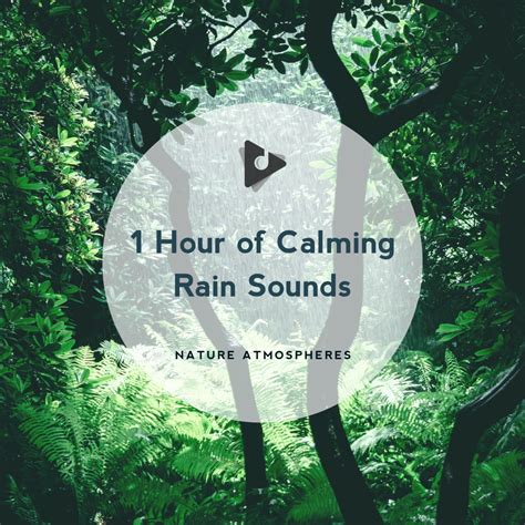 1 Hour of Calming Rain Sounds Album | Lullify