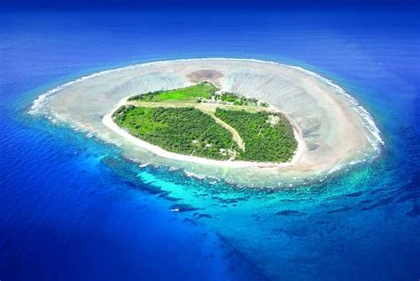 Lady Elliot Snorkeling Island - When To Go? What To See?