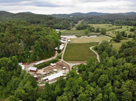 Hillside Orchard Farm In Georgia Is Worth An Afternoon Visit