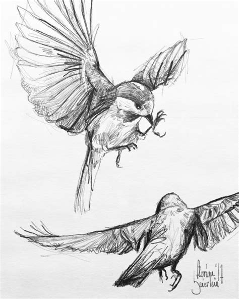 Pencil Drawing Of Birds Flying - pencildrawing2019