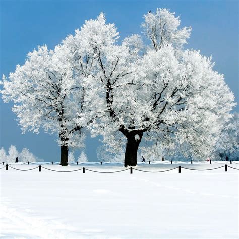 Snow Scenery Wallpapers - Wallpaper Cave