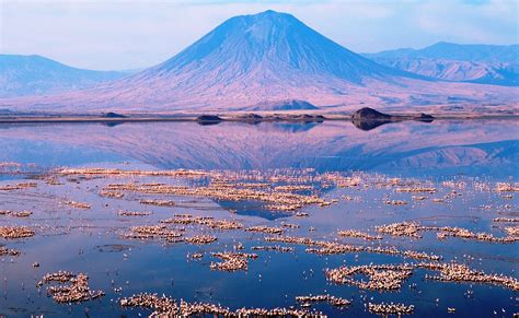 Lake Natron - Soda and Salt Lake in Tanzania