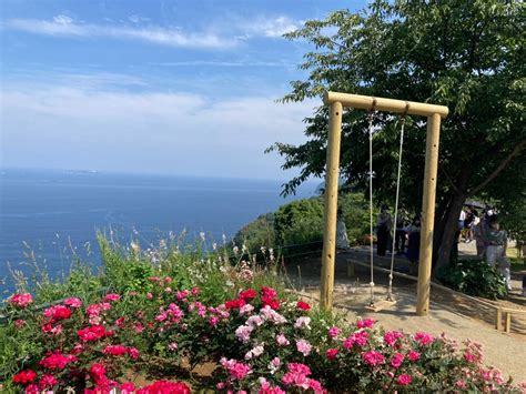 Atami Akao Herb and Rose Garden - TravelFeed