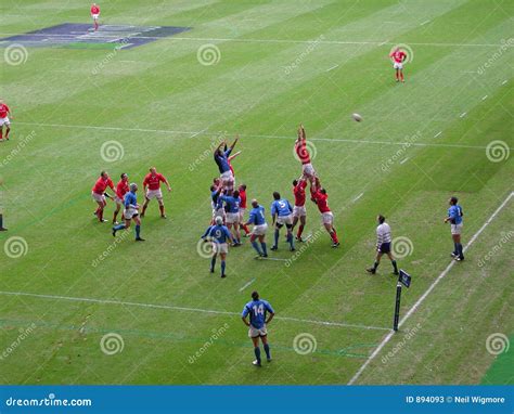 Line-out stock image. Image of audience, match, game, ground - 894093