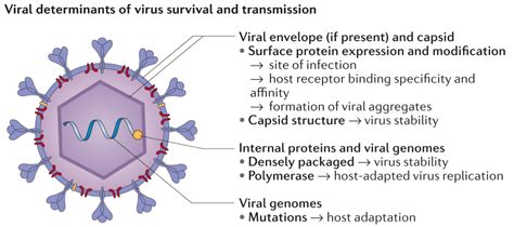 power_of_genomics_set1