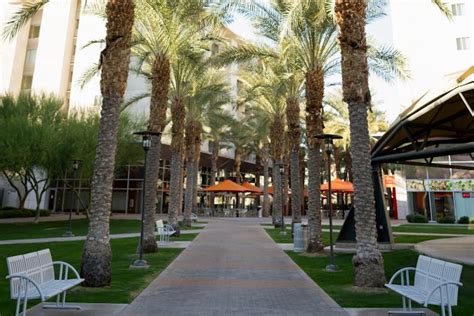 5 hidden study spots on ASU’s Tempe campus - The State Press