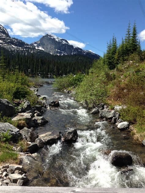 Salmon Arm BC | Salmon arm, British columbia, Natural landmarks