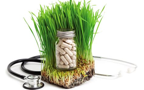 Naturopathic Medicine Toronto, ON - Back in Balance Clinic