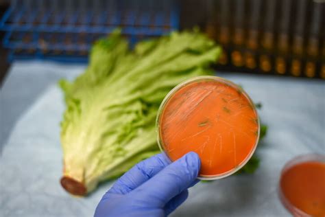 Listeria Prevention & Outbreak Treatment Company | Log10