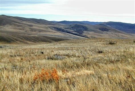 Geography Blog | Steppe Biome | Nord-star.info