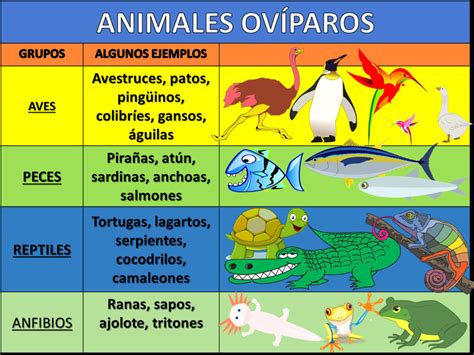 Qué animales son ovíparos