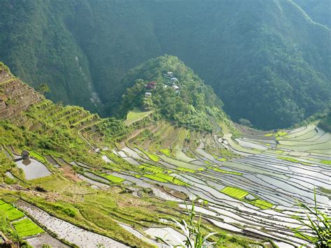 Trekking to the Batad Rice Terraces - Out of Town Blog