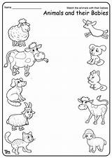 Animals And Their Babies Matching Worksheet sketch template
