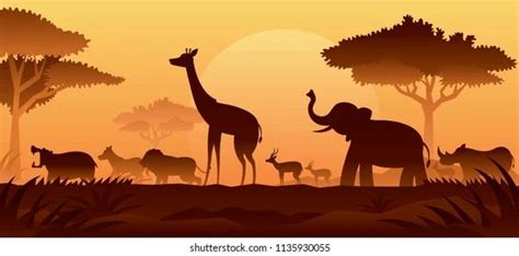 African Wildlife at Sunset