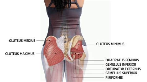 Losing Your Butt as You Age is NOT Good -- Aging Athlete