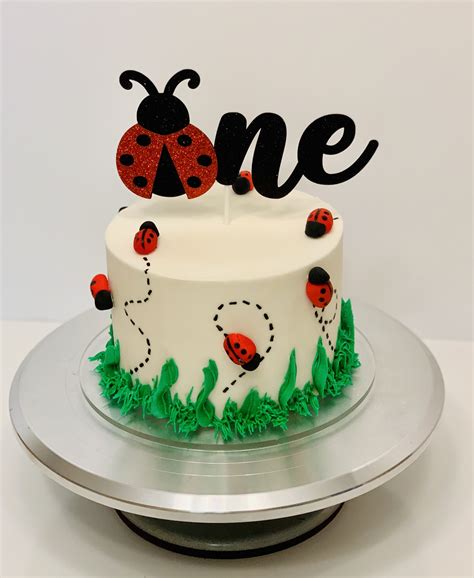 ladybug_smash_cake