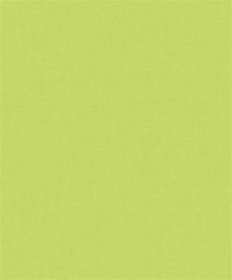 Light Green Plain Wallpapers - Top Free Light Green Plain Backgrounds ...