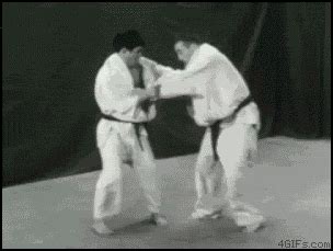 Karate GIF - Find & Share on GIPHY