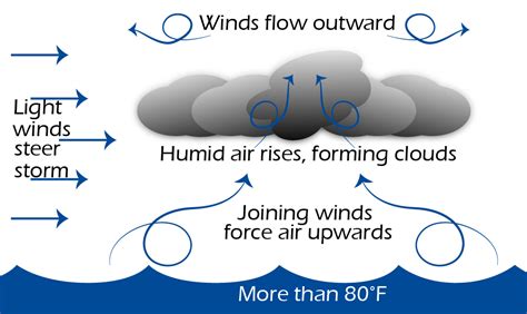 Hurricane Preparedness | WINCO