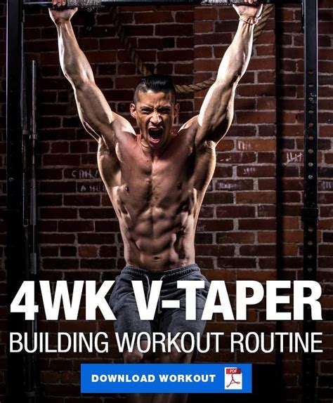 4 Week V-Taper Building Workout Routine | Back and shoulder workout, Workout routine, Workout