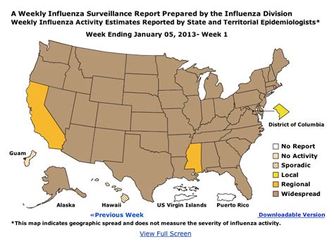 CDC: Flu-Related Deaths Exceed Epidemic Levels - Business Insider