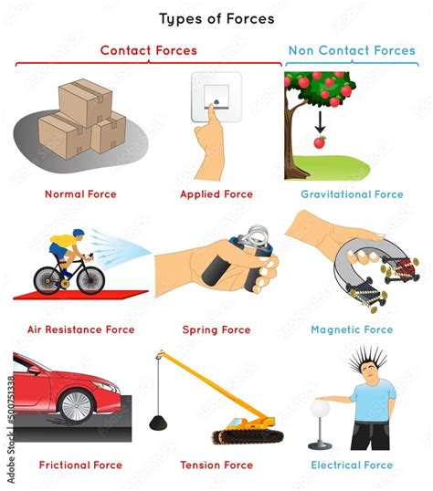 Types of Forces Infographic Diagram normal applied air resistance spring frictional tension ...