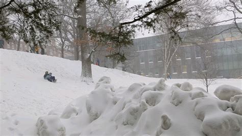 Sledding on the hill : r/WPI