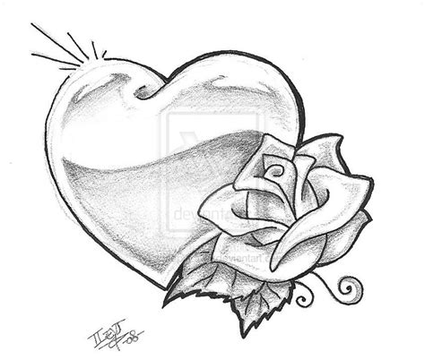 Free Rose Drawing, Download Free Rose Drawing png images, Free ClipArts ...