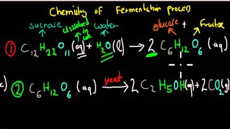 What Is Fermentation? – Fermented Food Freak