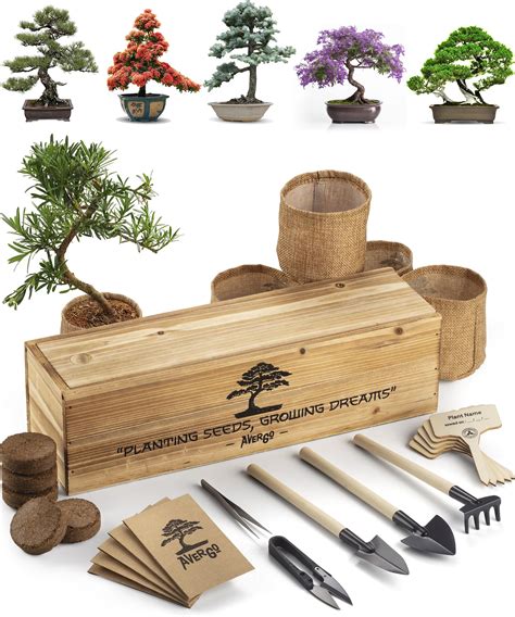 Best Bonsai Starter Kit: A Comprehensive Review 2023