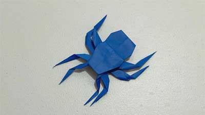 Origami Spider Instructions - How to Make an Origami Spider?