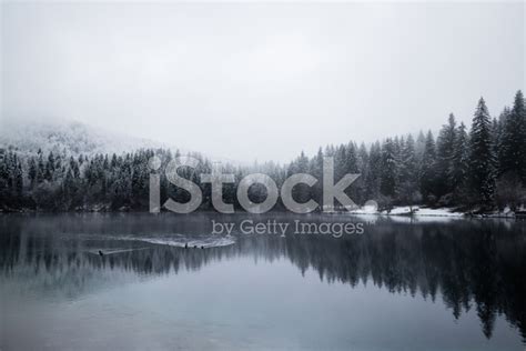 Winter Season Stock Photo | Royalty-Free | FreeImages