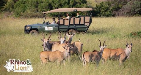 Rhino and Lion Park Tour - Cape Town Day Tours - South Africa