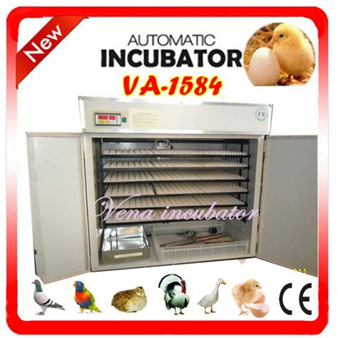 3975 Eggs Automatic Quail Egg Incubator with Competitive Price (VA-1584) - China Quail Egg ...