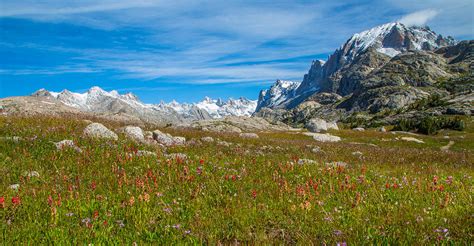 Flowery Mountain Fields Photograph by Kristi Staebler Kowalski - Fine Art America