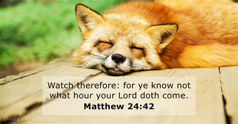 Matthew 24:42 - Bible verse (KJV) - DailyVerses.net